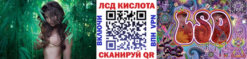 Купить где  Плёс  Марки NBOMe 1,8мг 